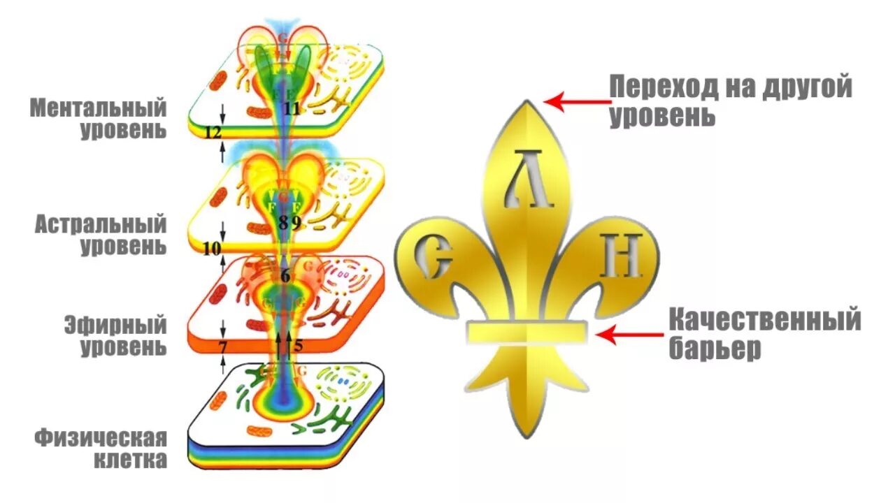 Ментальный барьер. Ментальный уровень. Ментальный и астральный уровень. Ментальный уровень в психологии. Ментальные барьеры.