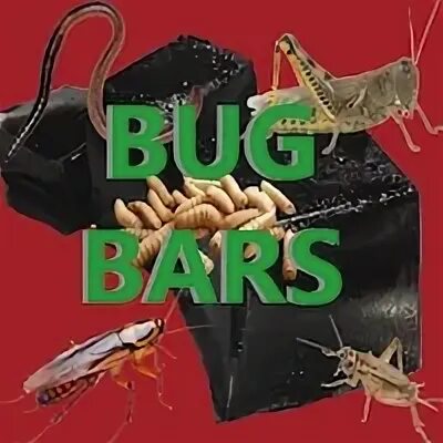 Bug bars. Bug bars
