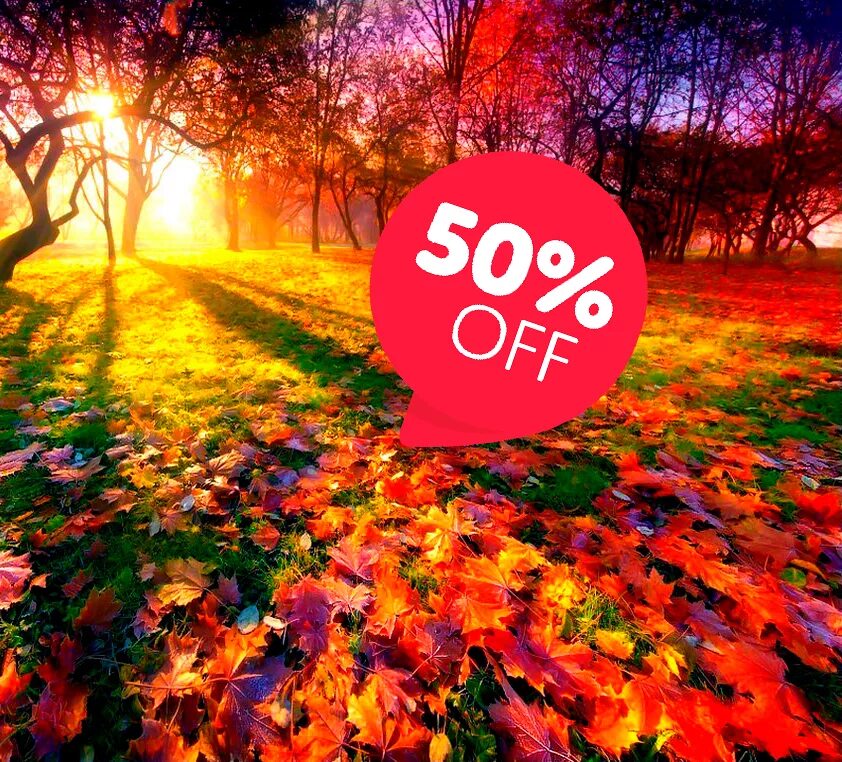 Абакан погода ноябрь. Осень. Красивая осень. Пятница поздняя осень. Осень переходит в зиму.