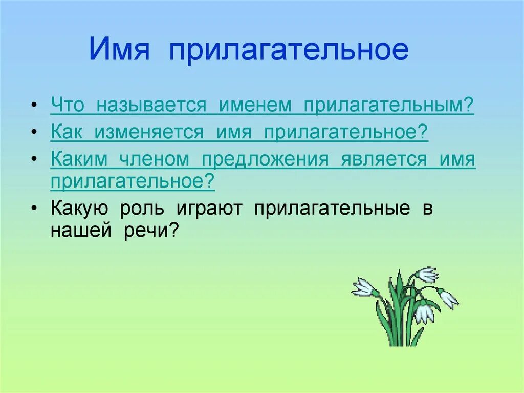 Каким членом предложения является имя прилагательное. Какую роль играют прилагательные в нашей речи.