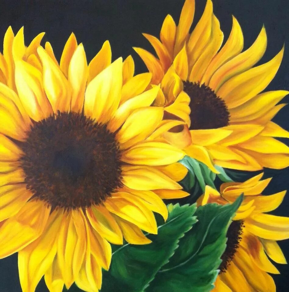 Подсолнух алмазная. Алмазная мозаика подсолнухи 40х50 доброцен. Алмазная мозаика - подсолнухи. Алмазная вышивка подсолнухи. Подсолнух крестиком.