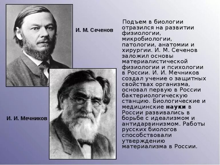Мечников м. Сеченов павлов мечников. и.м. сеченова и и.и. мечникова. сеченов мечников тимирязев. вклад в развитие анатомии мечникова.