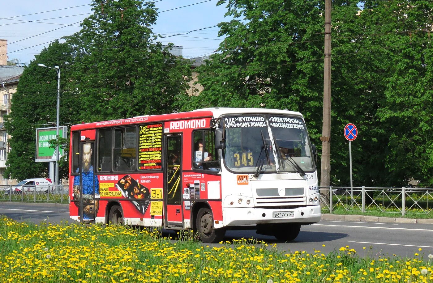 ПАЗ вектор 320402-05. 239 Автобус. ПАЗ Санкт-Петербург. Автобус 5.