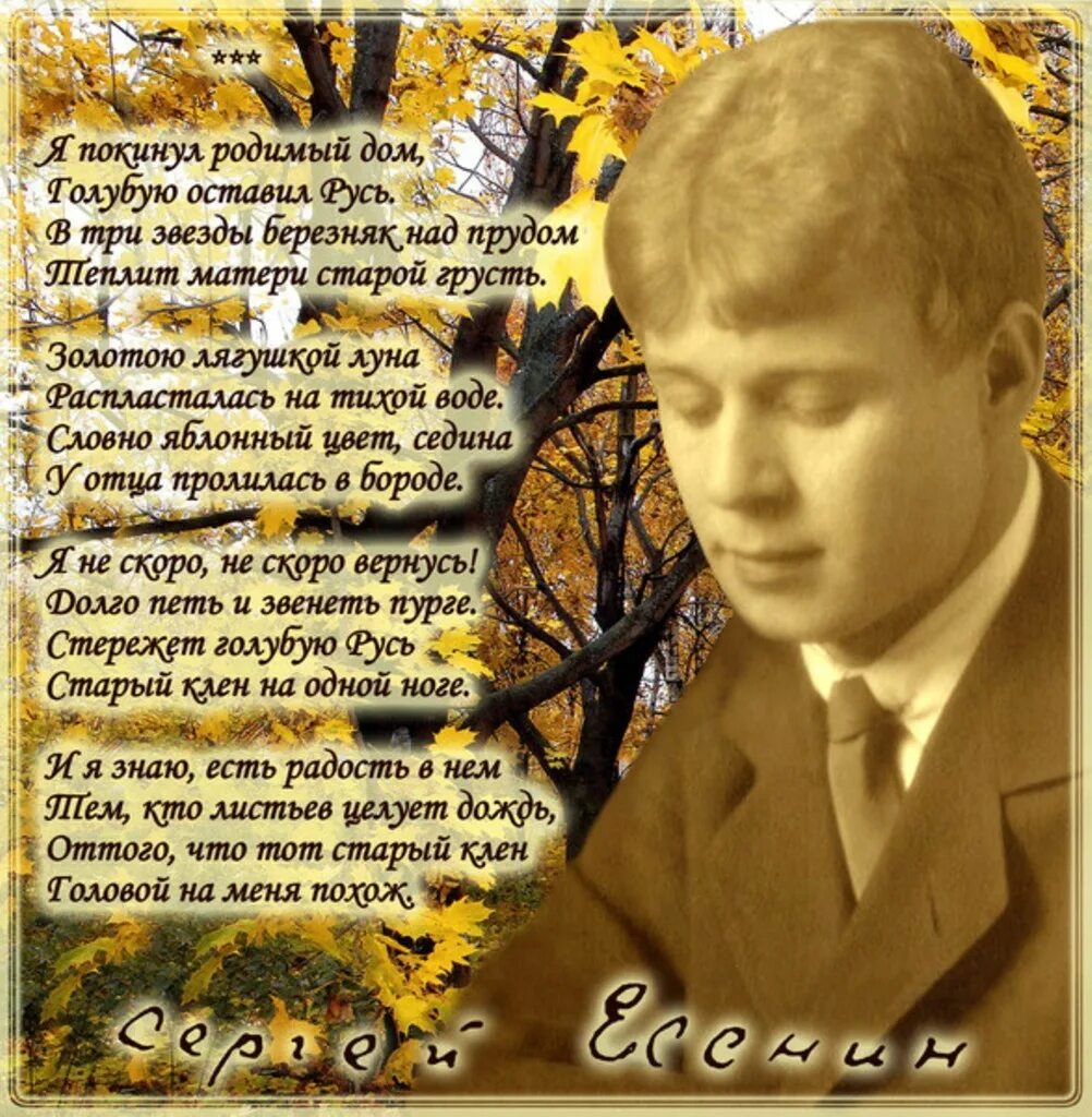 нужен стих есенина. сергей есенин строки. самое известное стихотворение есенина. хи есенина. стихи сергея александровича есенина.