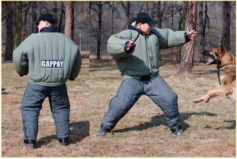 полный скрываться