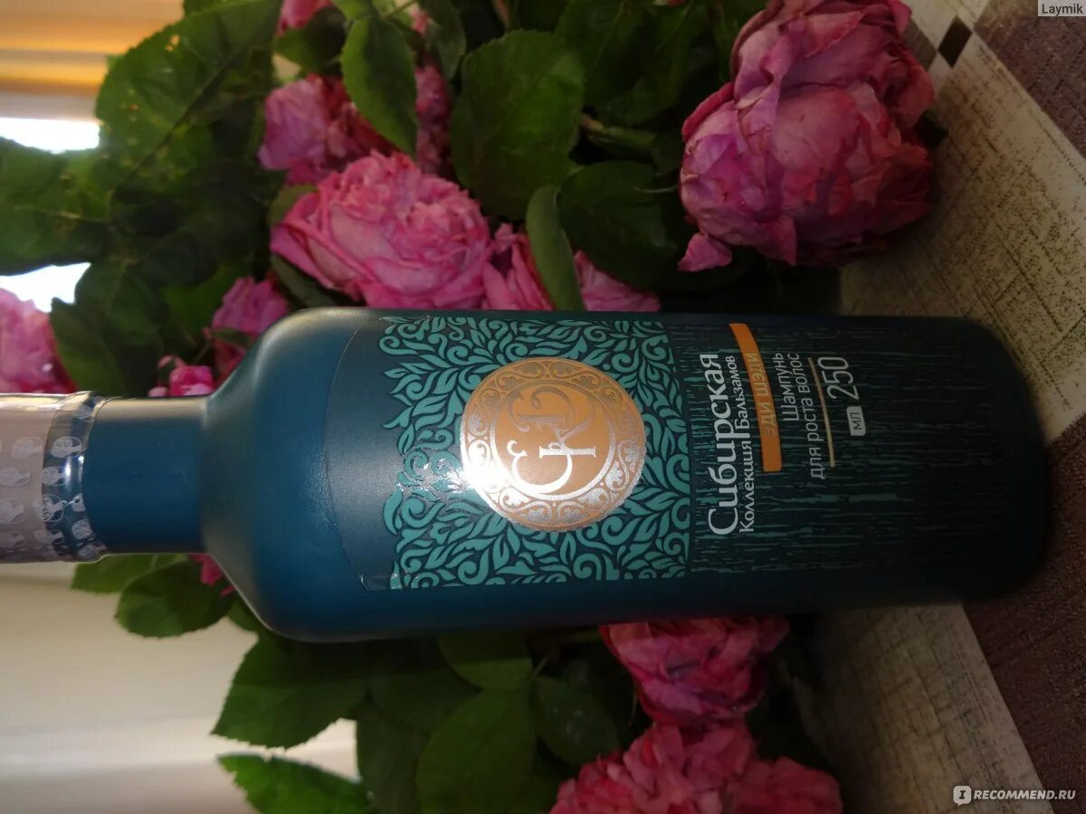 Шампунь siberian. Шампунь велнес шампунь сибириан. Шампунь siberian. Siberian wellness шампунь. Шампунь siberian.