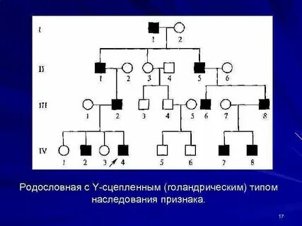 Характер наследования признаков метод