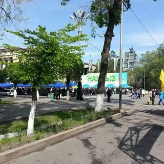 Пл 55