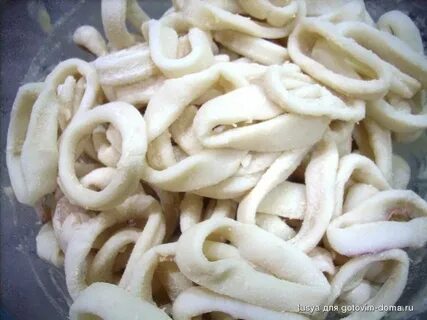 Кальмары у синагоги