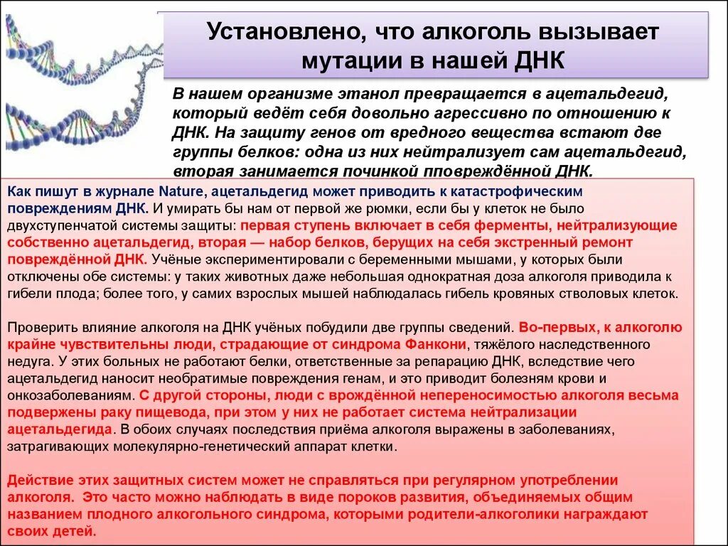 При расшифровке генома шимпанзе было установлено что