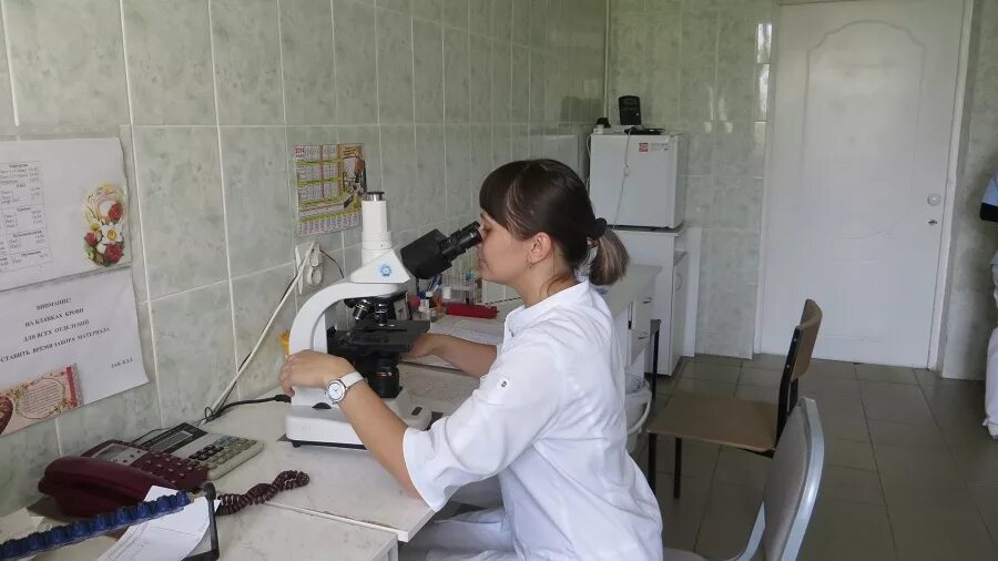 Профессия лабораторный техник. Фельдшер медицинский лабораторный техник. Ищу работу фельдшер лаборант. Медицинский лабораторный техник. Ищу работу фельдшер лаборант.