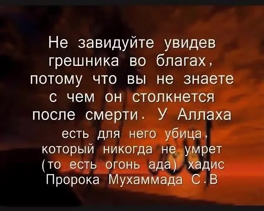 Достоверные хадисы пророка мухаммада с а в. Хадисы пророка мухаммада с.а.в. достоверные хадисы пророка. красивые хадисы пророка мухаммада с.а.в. хадисы пророка мухаммеда о жизни.