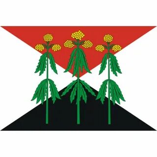 Флаге поселения