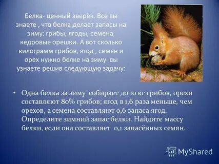 Найдите ошибки в тексте белки