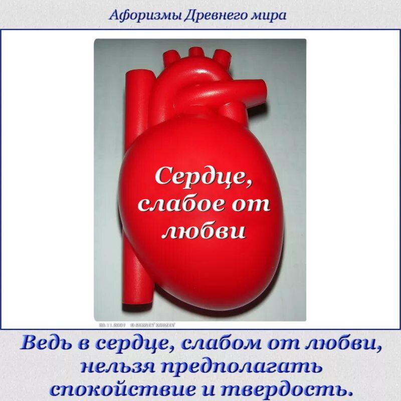 Цитаты про сердце. Фразы про сердце. Высказывание о сердце человека. Сердце цитаты афоризмы. Сердце наполненное любовью.