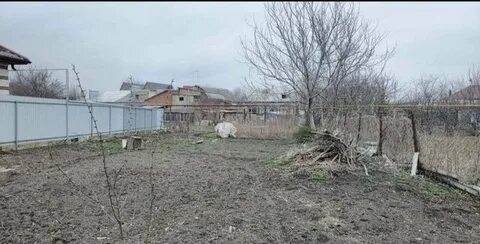 Продали соседний участок