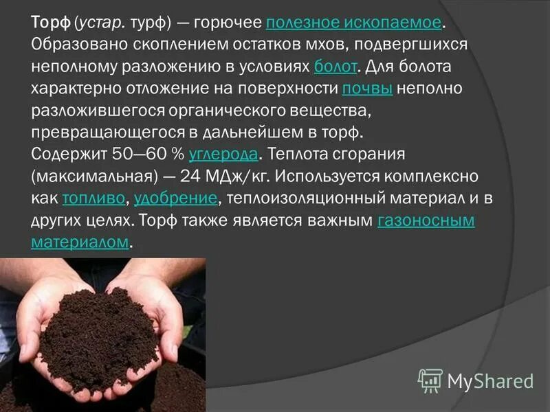 какое полезное ископаемое образуется в болотах