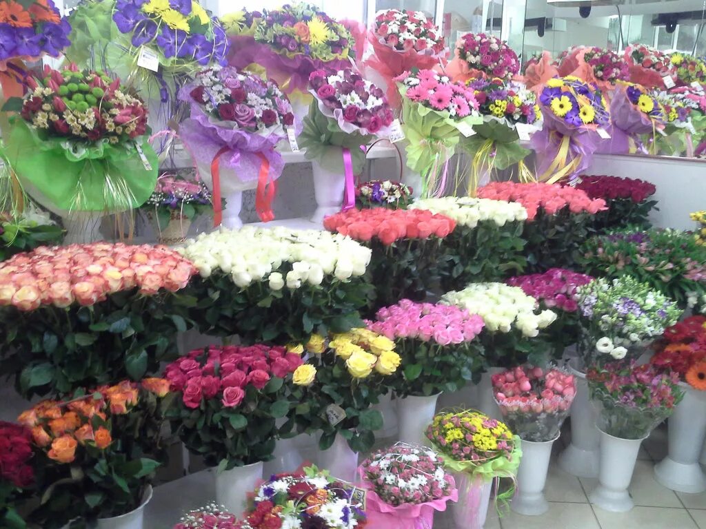 Цветы в магазине названия. Цветочный магазин на Висиме. Цветы магазинные названия. Цветы названием в магазине цветущие