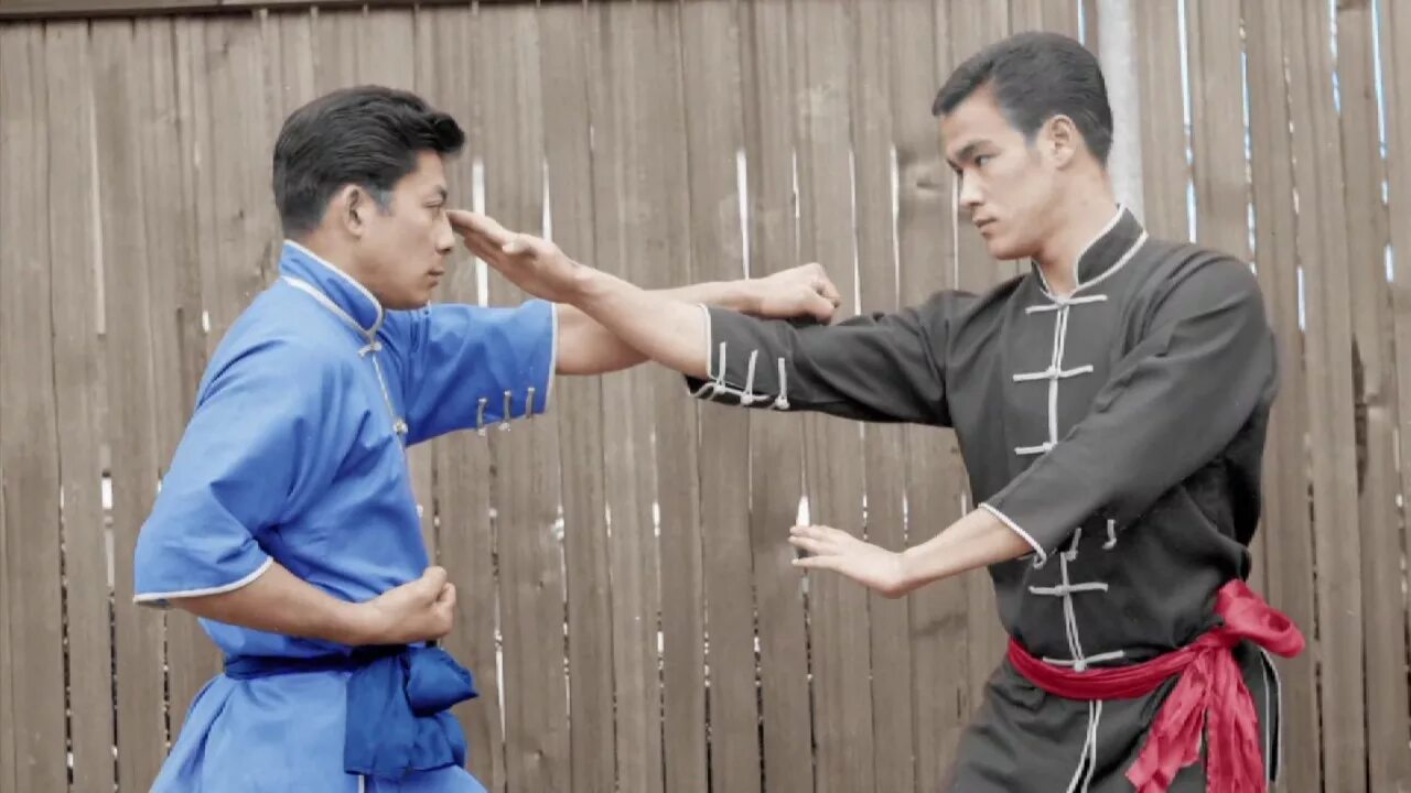 Sifu как пощадить. Брюс ли и таки кимура. sifu. sifu янь. sifu главная героиня.