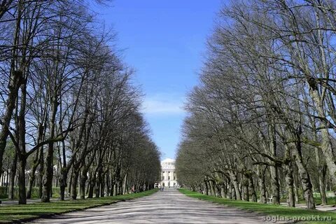 Улица с аллеями посередине 9 букв