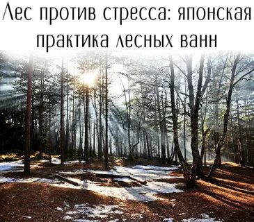 Запахло лесом