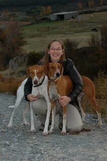 playa de los alemanes perros - citadel-rb.ru 