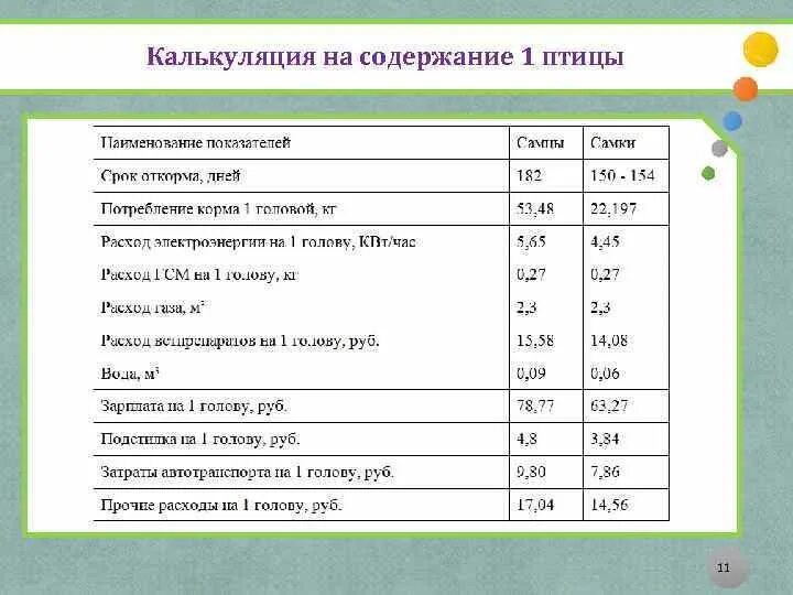 Калькуляция занятий. Содержание калькуляции. модель калькуляции. затраты на содержание животных. калькуляция на содержание здания.