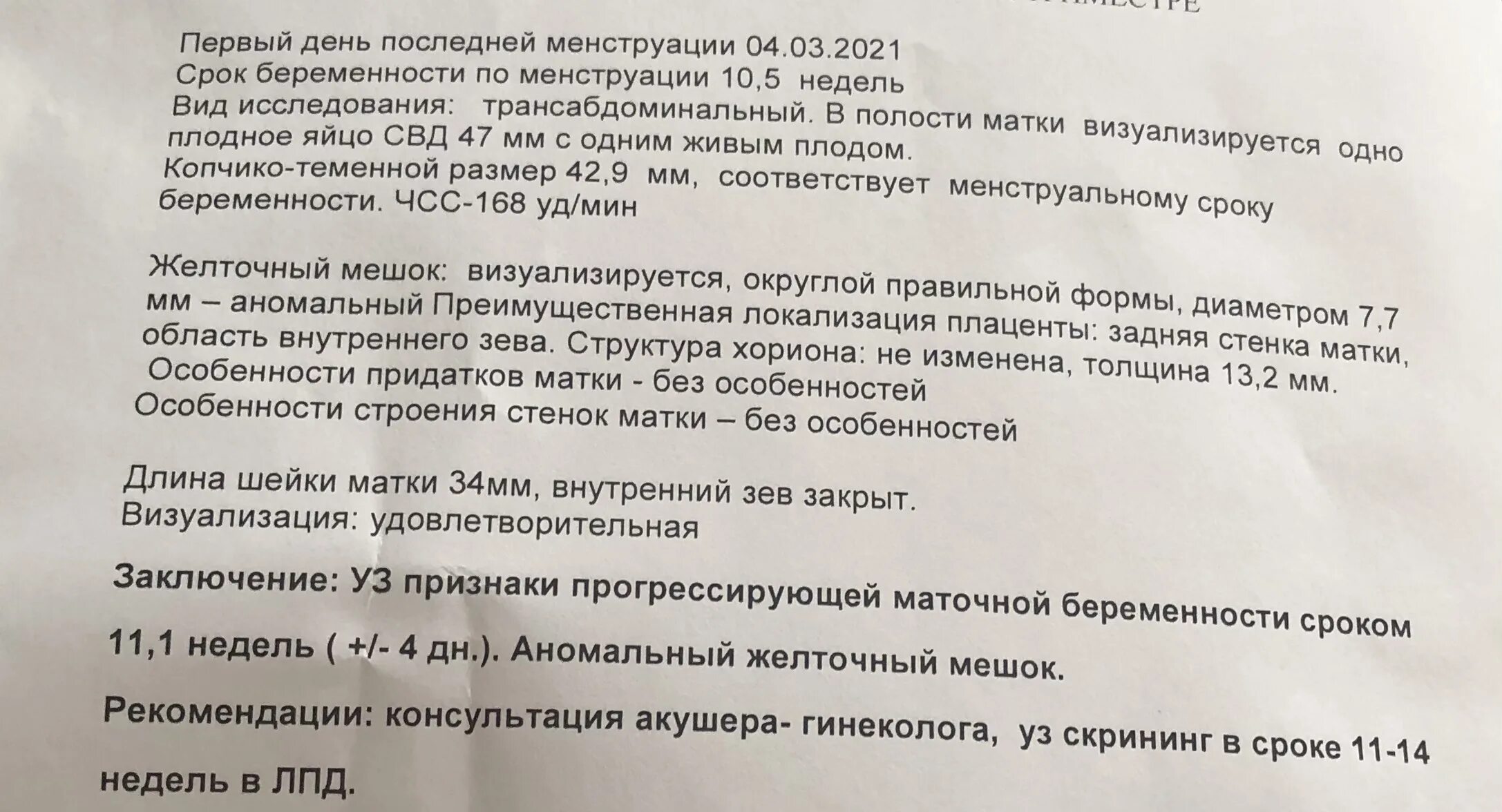 5 недель отзывы. Желточный мешок на УЗИ норма. Нормы желточного мешочка. Диаметр желточного мешочка по неделям. Диаметр желточного мешка по неделям.