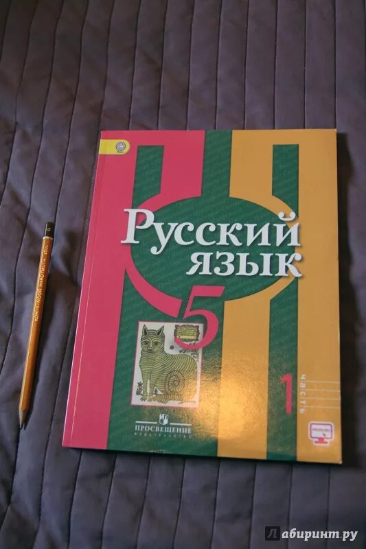 Русский язык 5 класс григорьев глазков. Учебник по русскому языку 5 класс. Русский язык 5 класс учебник. Книга русский язык 5 класс. Учебник русского языка 5.