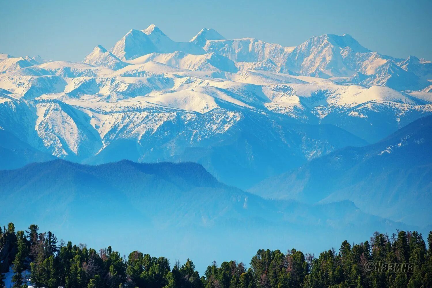 Лазоревые горы. Белуха Алтай. Катунский хребет горный Алтай. Горы Катунского хребта Алтай.