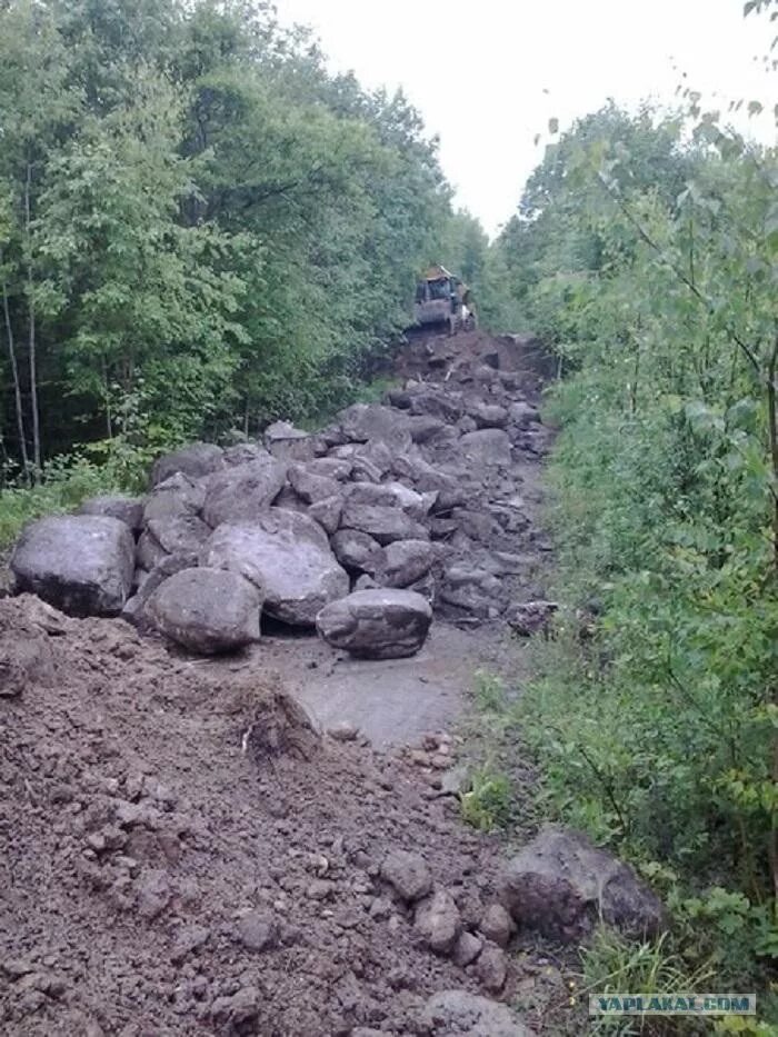 Дорога на субботу. Дорога заваленная камнями. Заросшая каменная дорога. Каменная дорога в Ленинградской области. Валун на дороге.