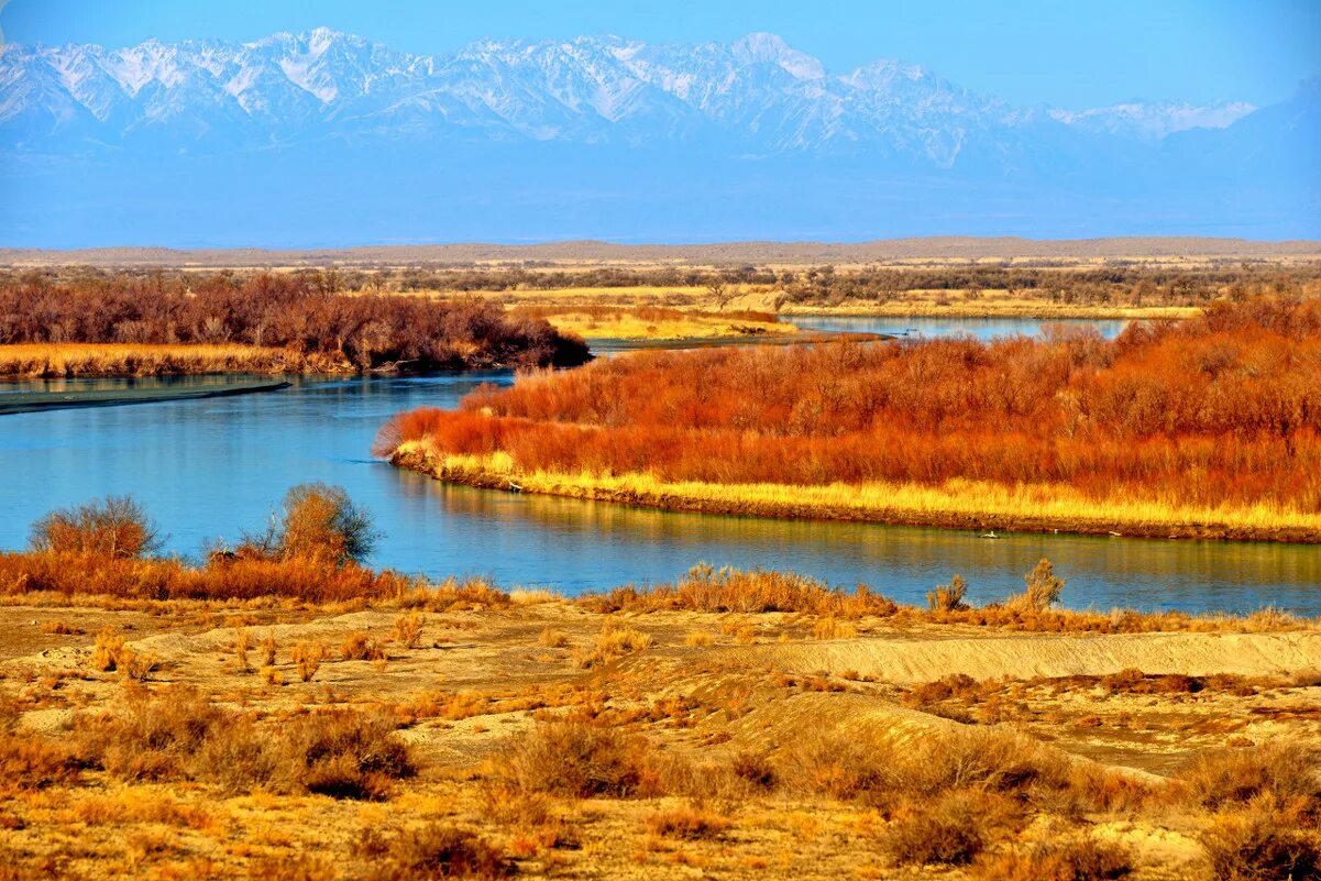 Самая большая река казахстана. Реки Казахстана. Река или. Река или в Казахстане. Природа Казахстана реки.