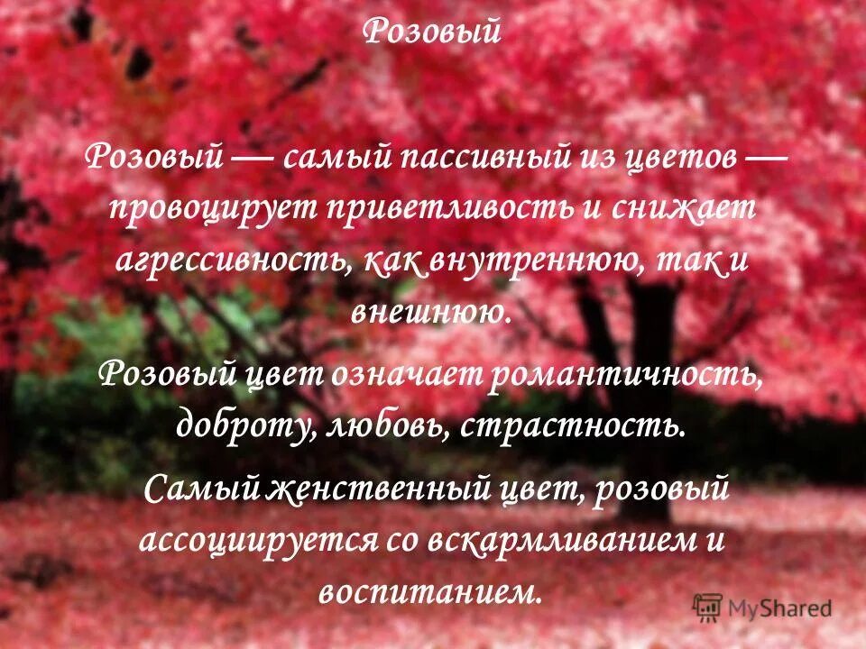 Цитаты про розовый цвет. Что означает розовый цвет. Любимый цвет розовый психология. Что символизирует розовый цвет.