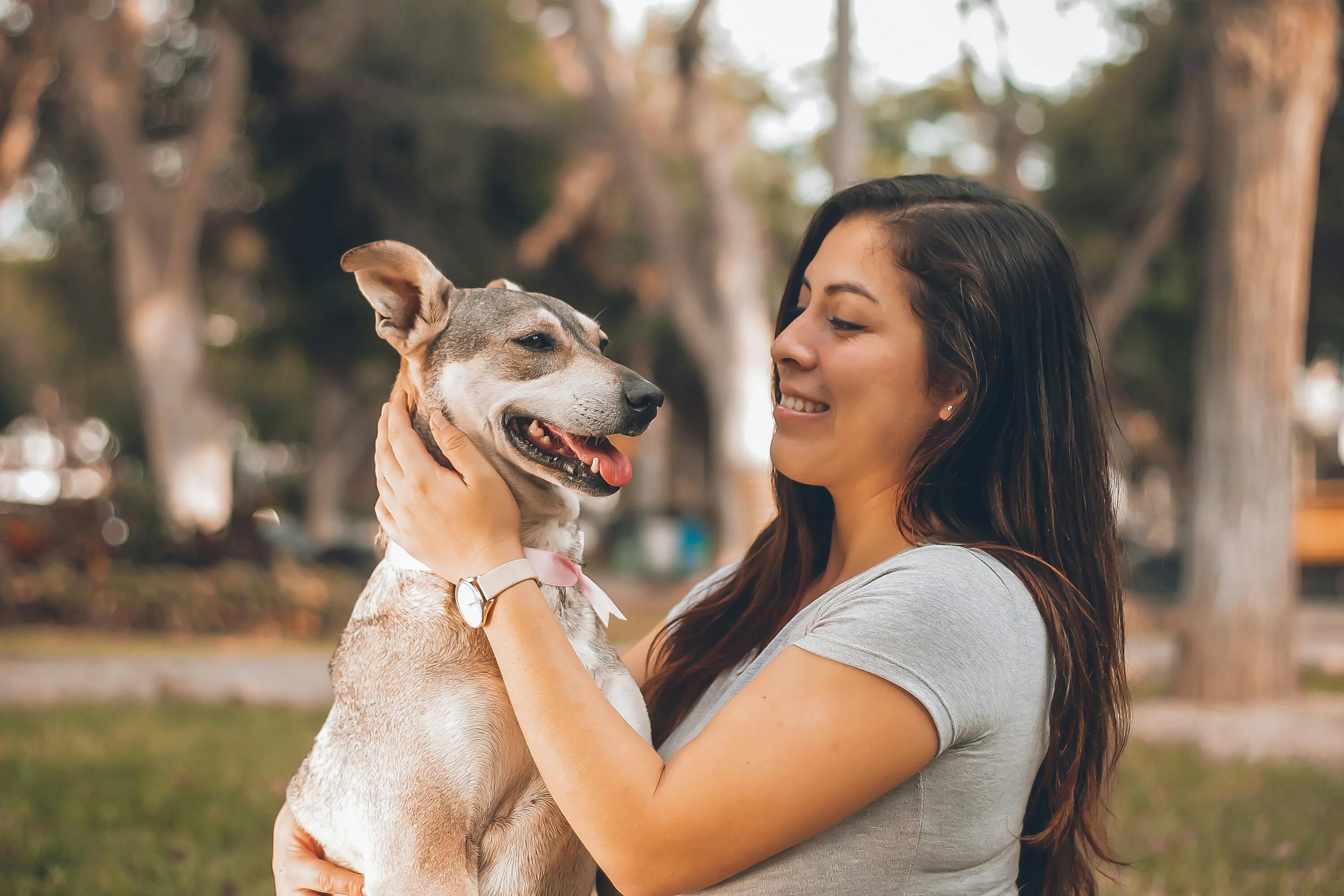 Get love pets. Женщина с собакой. Счастливая собака с хозяином. Радостная собака с хозяином. Счастливый человек с собакой.