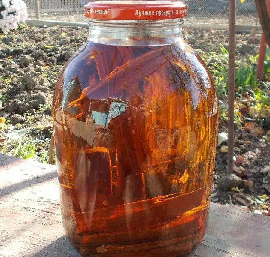 Самогон на дубе. Самогон на дубовой коре. Самогон на дубовой щепе. Самогон на дубовой. Самогон на дубе.