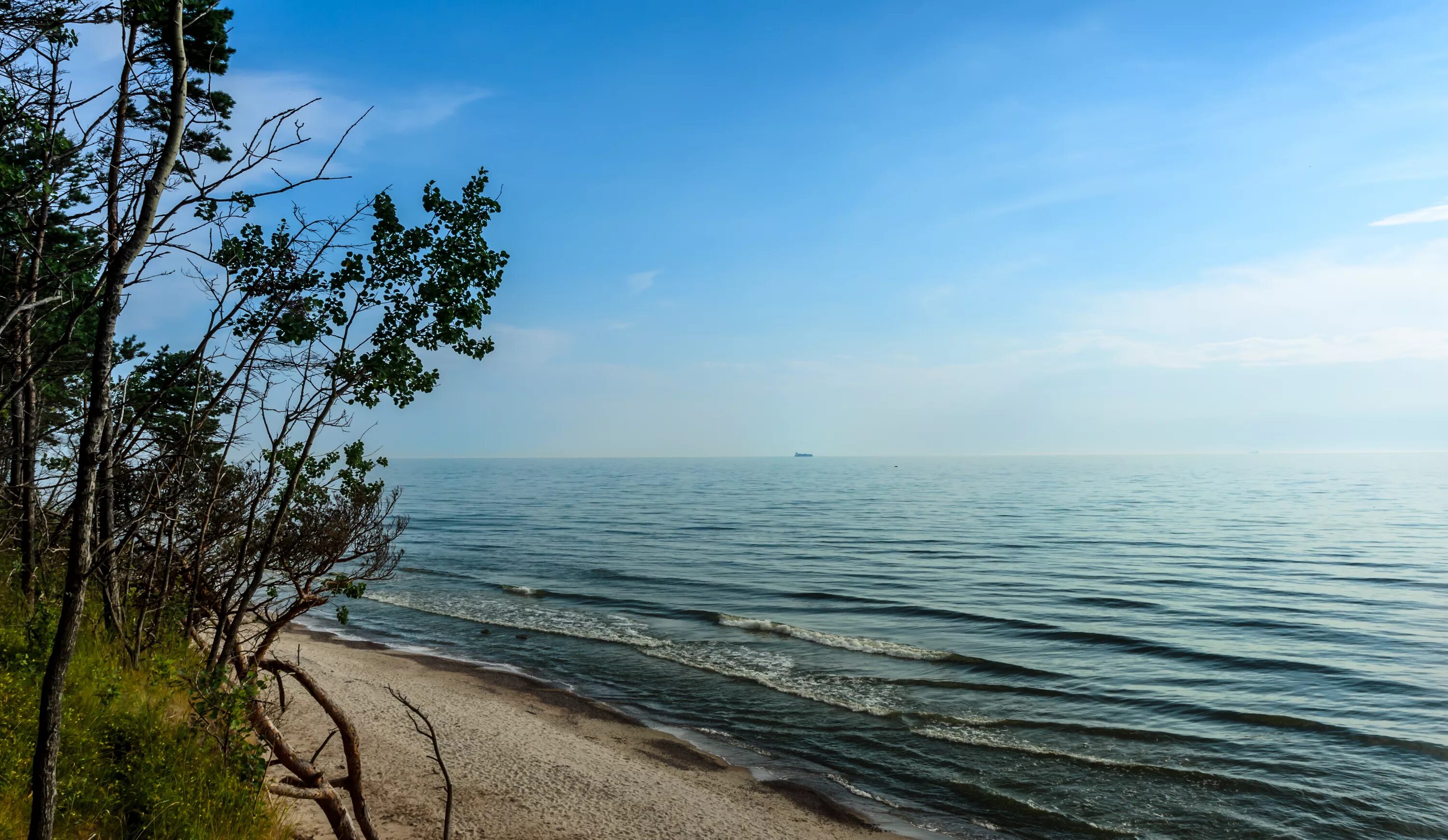 Балтийское море. Берег Балтийского моря. Балтийское море природа. Балтийское море красивые виды.