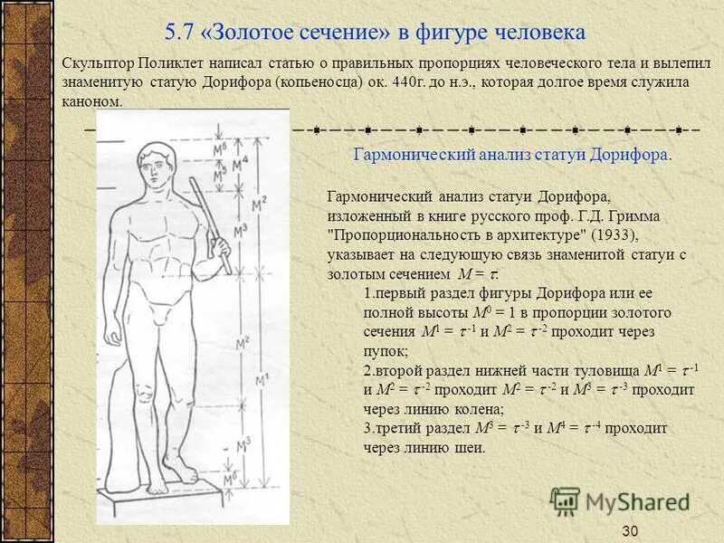 Ответы Mail.ru: кто что знает про золотое сечение в пропорциях чедовечекого тела