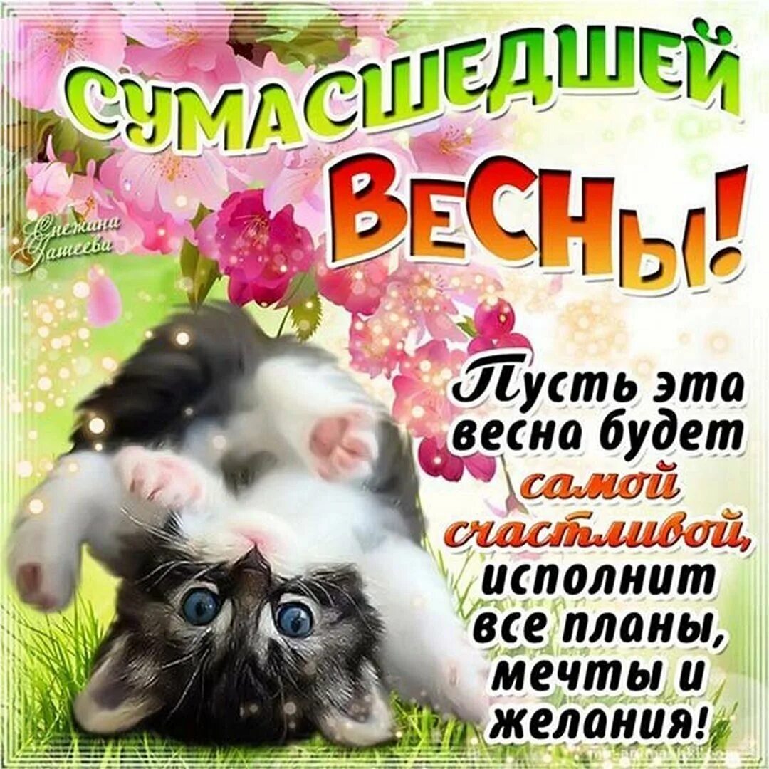 Весенние открытки. День и ночь когда сравняется. Поздравление с первым днем весны. Был весенний день сильно. Цветы в снегу.