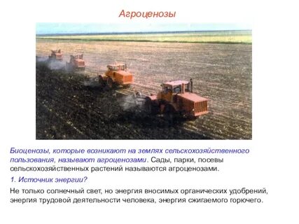 В чем главная причина неустойчивости агроценозов огэ