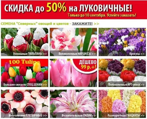 Цветы почтой по россии