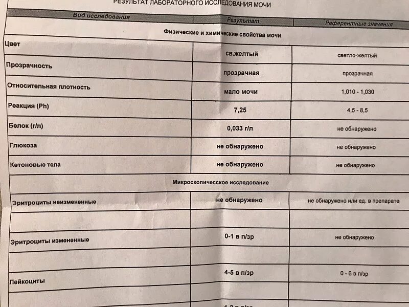 Моче у кошки повышены. Анализ мочи кота. Эритроциты в моче у кота норма. Исследование мочи у кошек. Анализ крови при мкб у кошек.