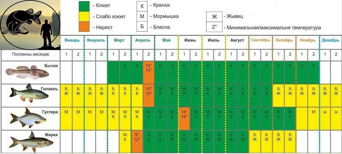 Когда начинает клевать карась после зимы. Рыболовный календарь. Календарь рыбалки. Календарь ловли рыбы. Календарь клева карася.