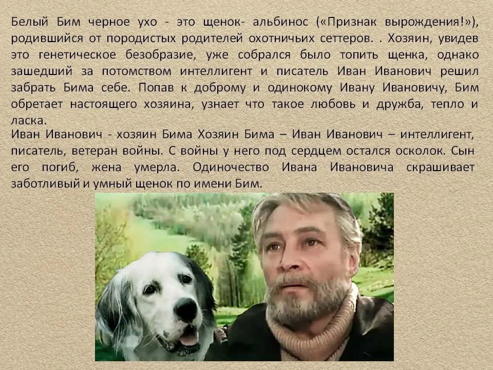 Содержание рассказа белый бим черное ухо. «Белый Бим черное ухо» (6 ). Белый Бим черное ухо Эксмо. Бим чёрное ухо книга.