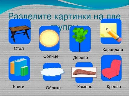 Что относится к телам