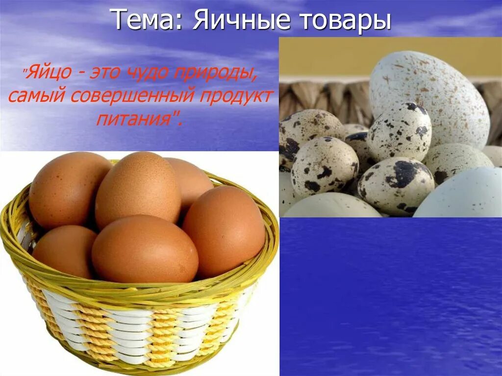 Яичные товары. Яичные товары. Яйца и яичные продукты. Меланж яичный пастеризованный. Микробиология яиц.