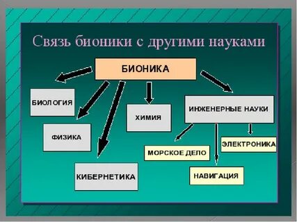 Связь биологии с другими науками биохимия биофизика