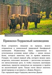 Приокско террасный заповедник растения кроссворд