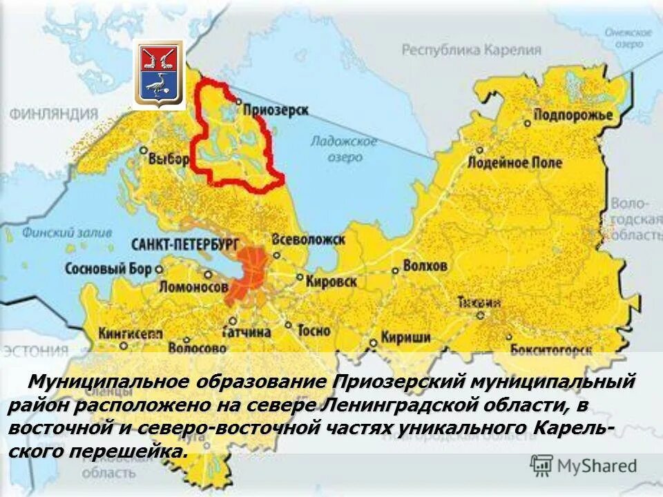 погода волосово ленинградская область на 10