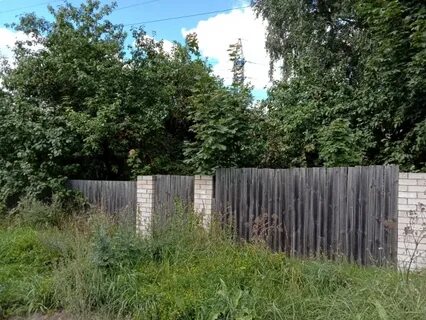 Погода в конаковском районе