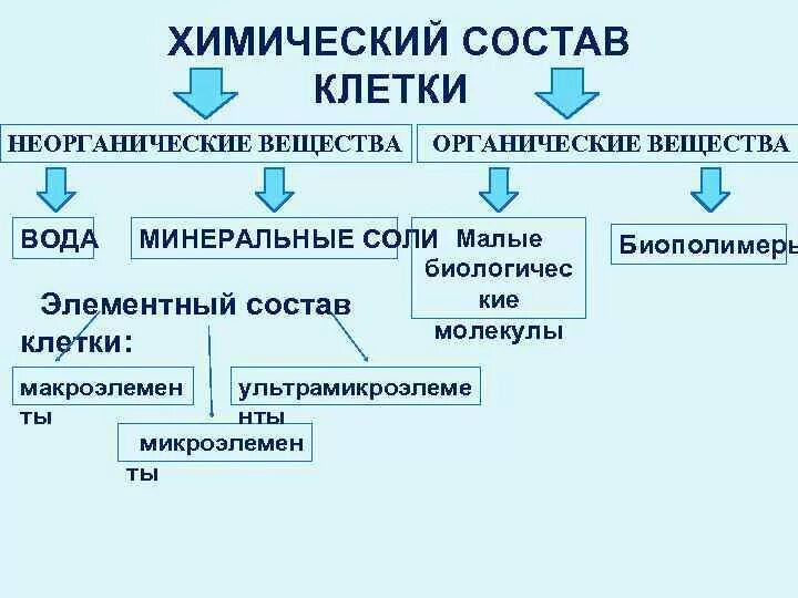 Первые клетки органические. Химическая организация клетки органические вещества клетки. Химическая организация клетки таблица. Химический состав клетки органические соединения. Химические вещества клетки схема.